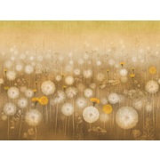 Thumb_ab144_col1