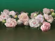 Thumb_ab48_col3