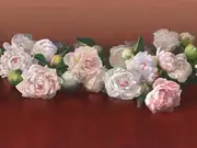 Thumb_ab48_col4