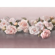 Thumb_ab48_col5