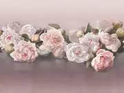 Thumb_ab48_col5