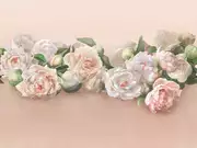 Thumb_ab48_col7