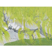 Thumb_af2325_col1