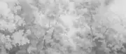 Thumb_af2326_col4