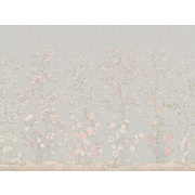 Thumb_af710_col1