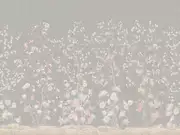 Thumb_af710_col5