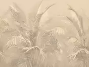 Thumb_af950_col5