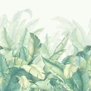 Thumb_af956_col1