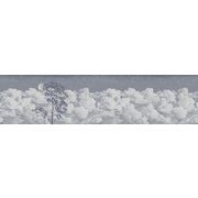 Thumb_affresco_2368_col2