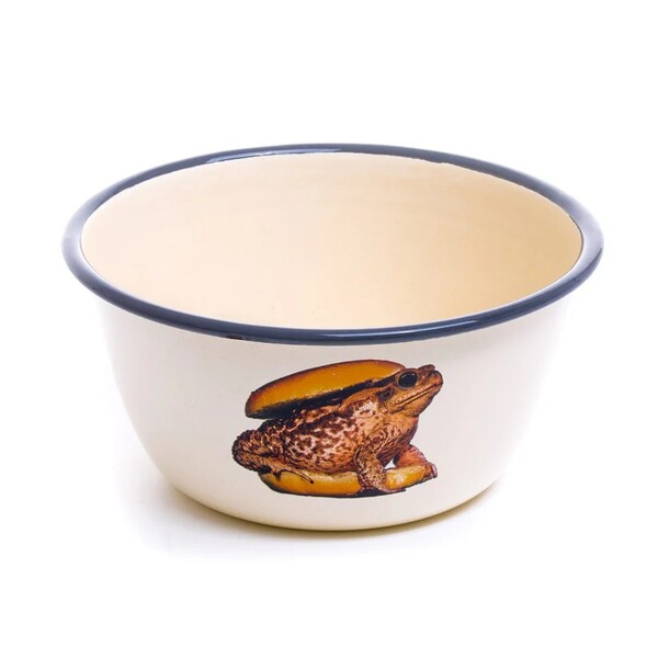 Big_piala_toad_1