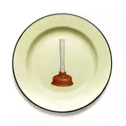 Thumb_tarelka_plunger_1