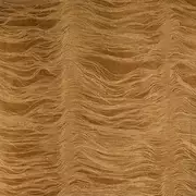 Thumb_74307_cb_1