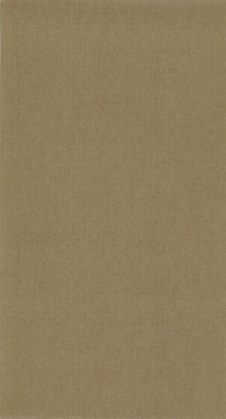 Big_8207_24_61_bota_1