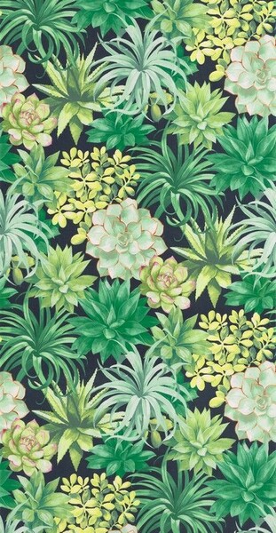 Big_8591_73_96_bota_1