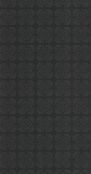 Big_8593_97_10_bota_1