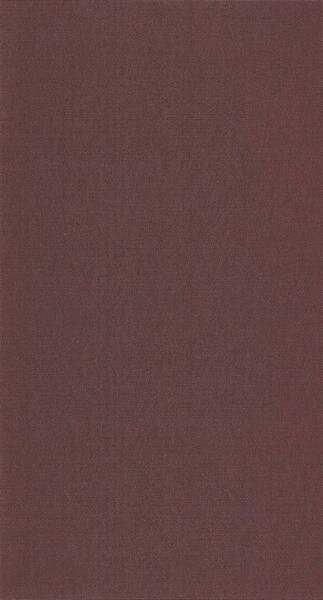 Big_8207_52_56_bota_1