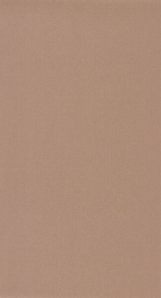 Big_8207_31_36_bota_1