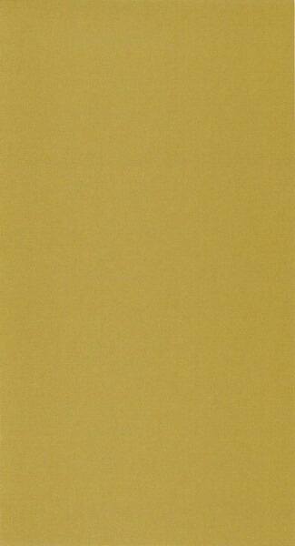 Big_8207_27_27_bota_1