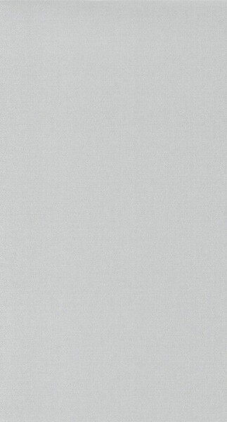 Big_8207_91_31_bota_1