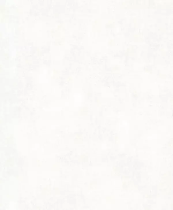 Big_8083_01_01_stne_1