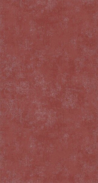 Big_8083_83_18_stne_1