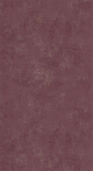 Big_8083_55_25_stne_1