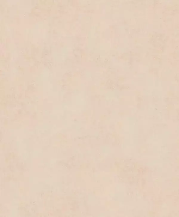 Big_8083_41_74_stne_1