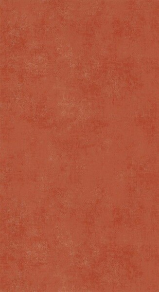 Big_8083_34_14_stne_1