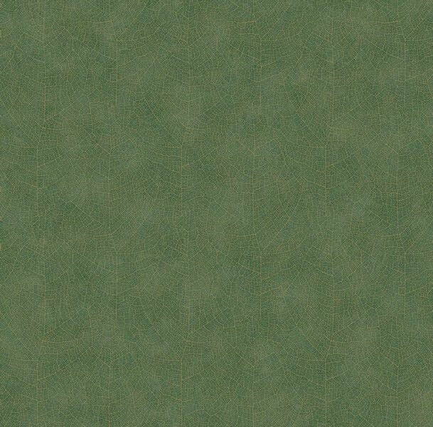 Big_2621_75_05_wood_1