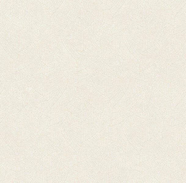 Big_2621_11_19_wood_1