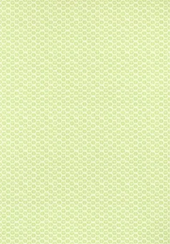 Big_t13365_1