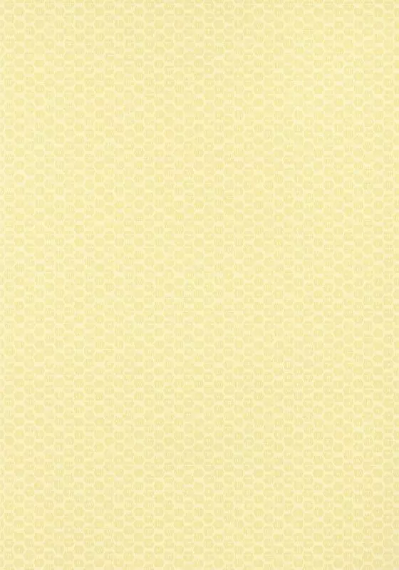 Big_t13366_1