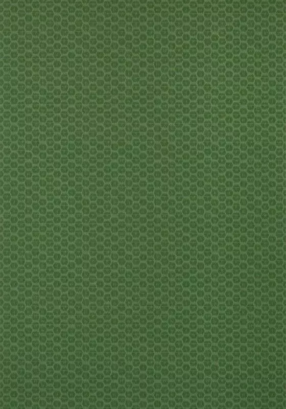 Big_t13368_1
