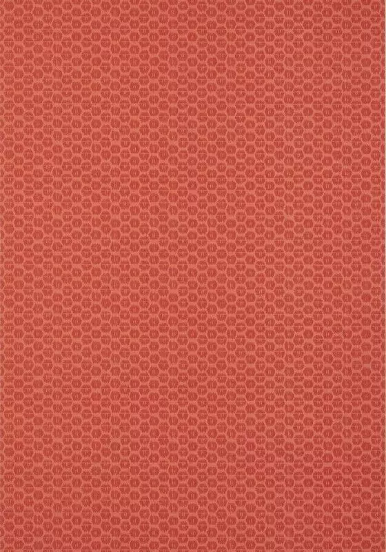 Big_t13394_1