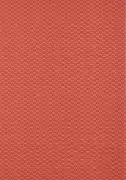 Thumb_t13394_1