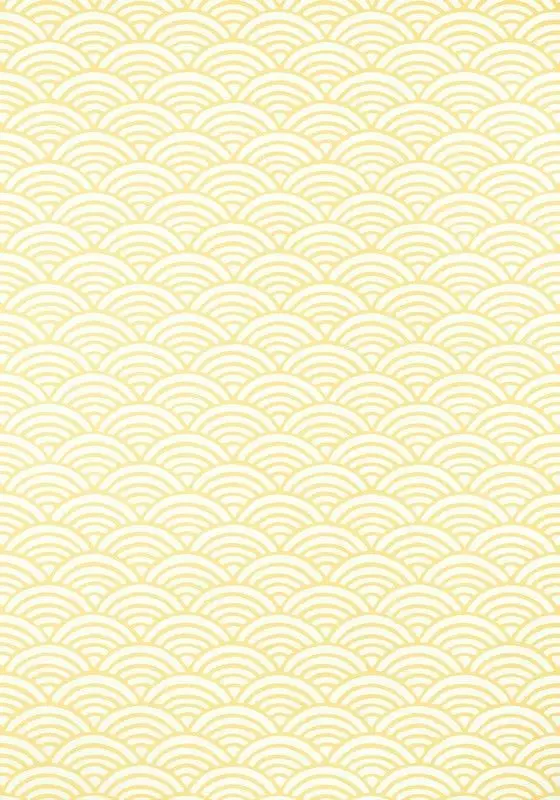 Big_t13374_1