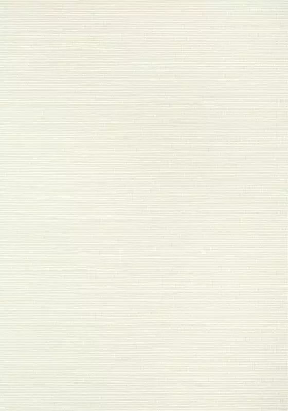 Big_t13343_1