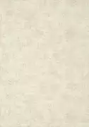 Thumb_t10459_1