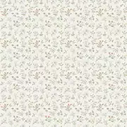 Thumb_39000_1