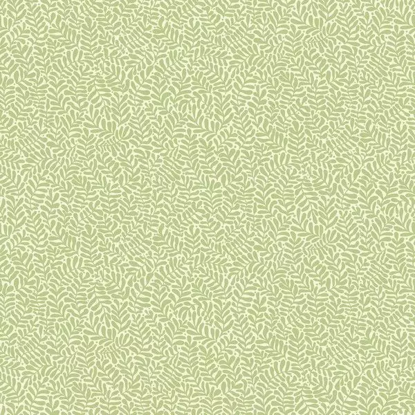 Big_55001_l_1