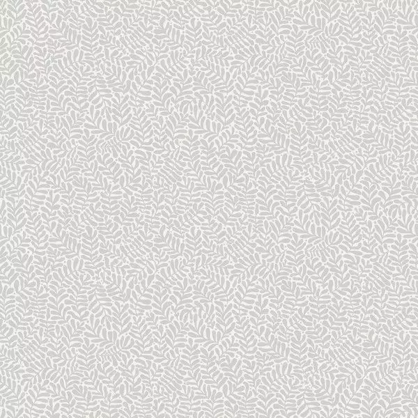 Big_55004_l_1