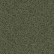 Thumb_55000_l_1