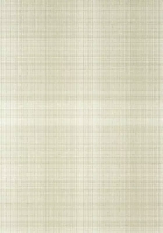 Big_t10981_1