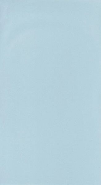 Big_2969_61_11hpdm_1