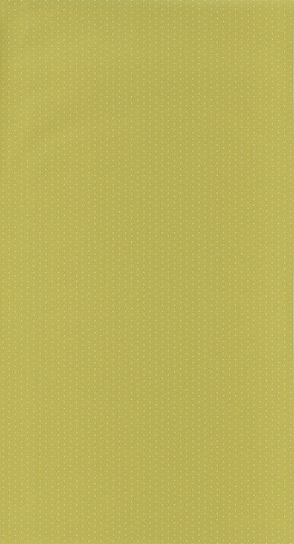 Big_2979_25_36_hpdm_1