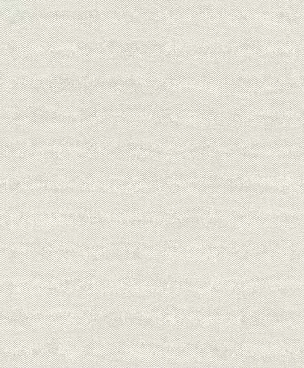 Big_229256_1