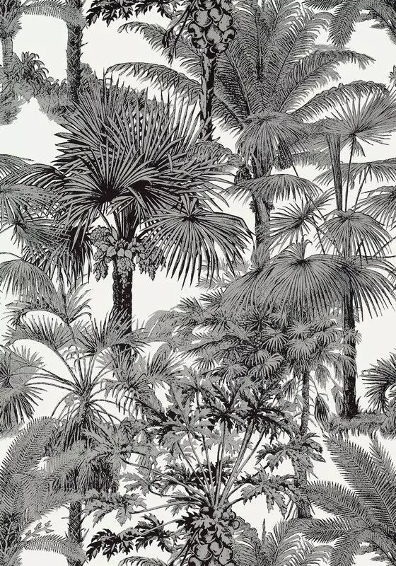 Big_t10102_1