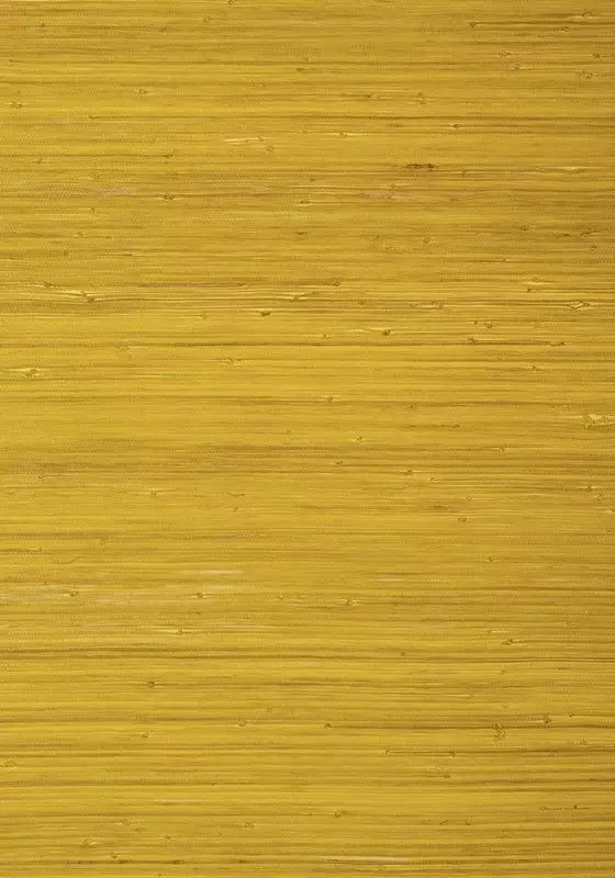 Big_t24069_1