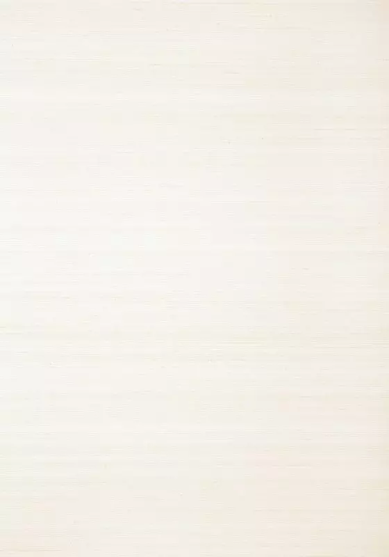 Big_t24124_1