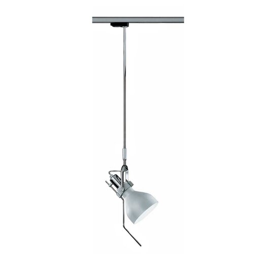 Medium_spot_d37j0727_1